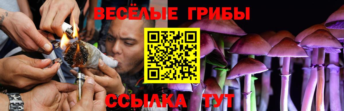 Галлюциногенные грибы прущие грибы  Вход с VPN  Зеленодольск 